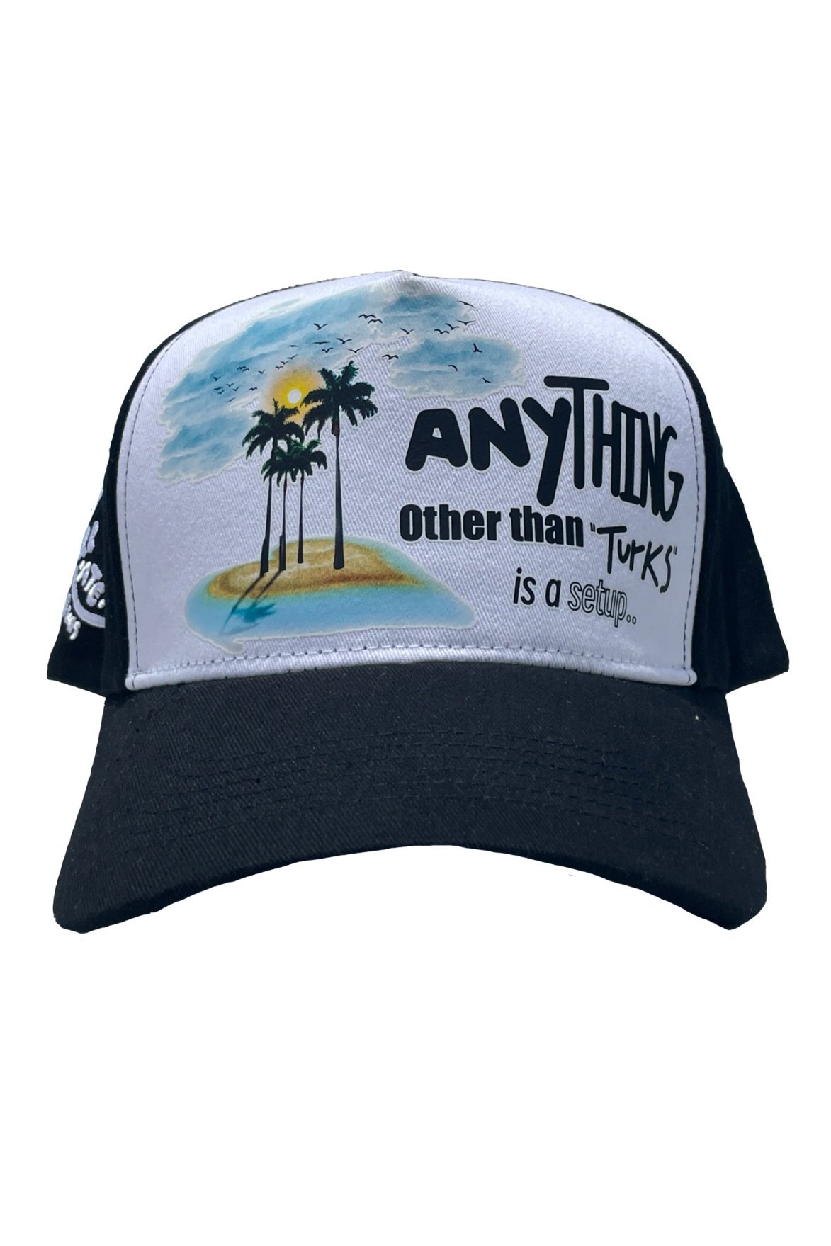 Anything Other Than TURKS Baseball Cap (Cotton)