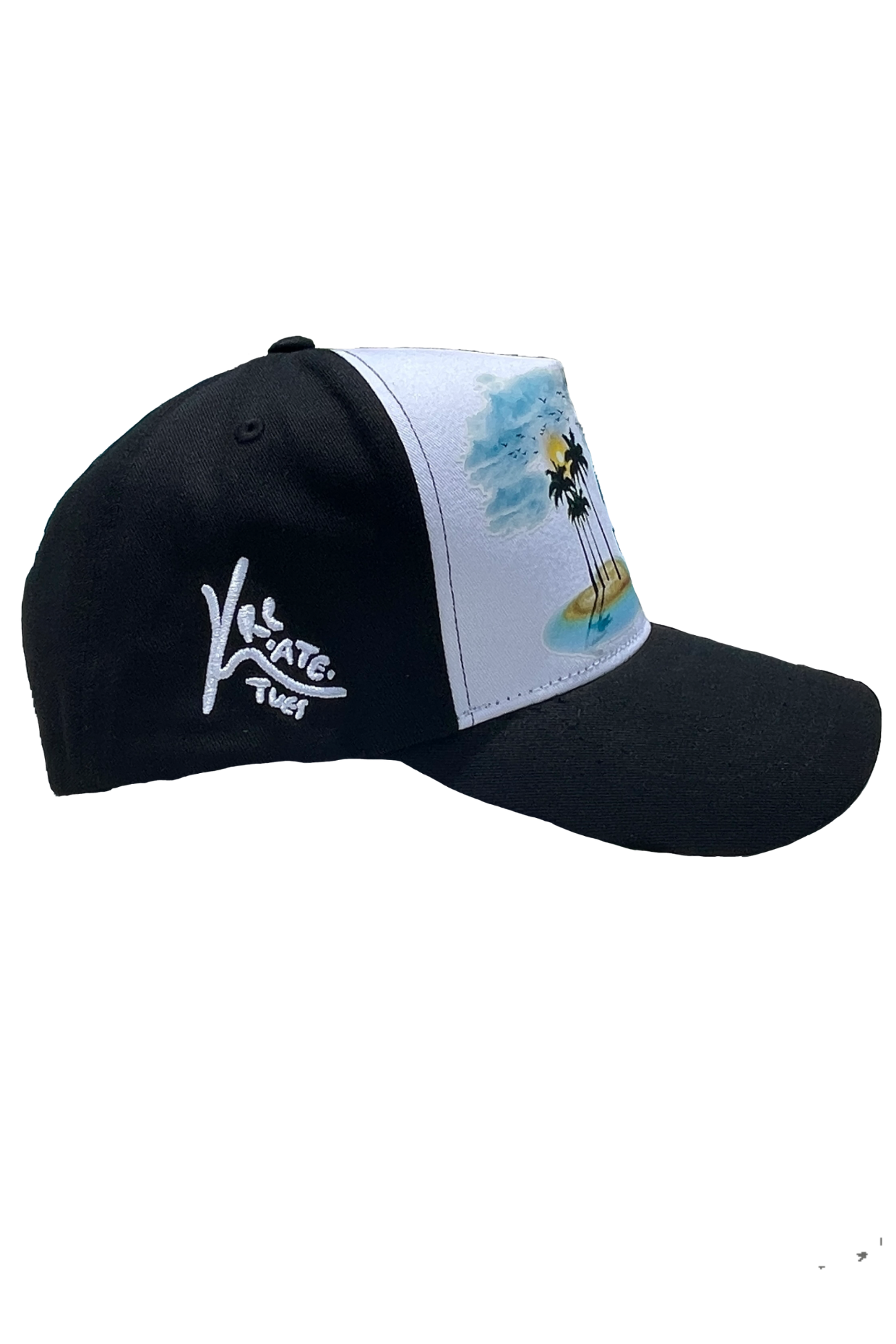 Anything Other Than TURKS Baseball Cap (Cotton)